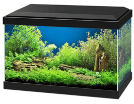 Aquarium aqua 20 led Schwarz 40x20x24,8CM