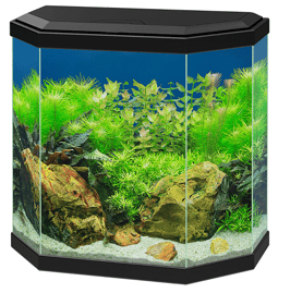 Aquarium aqua 30 led Schwarz 40x20x45,5CM