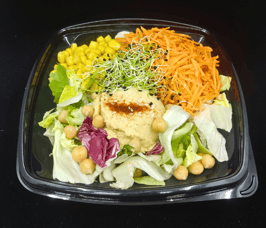Gemischter Salat mit Hummus