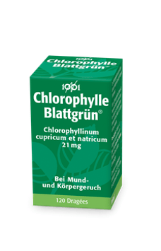 BLATTGRÜN 1001 Drag Fl 120 Stk  853955