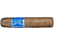 Robusto 25 Maduro