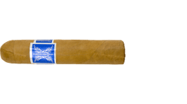 PRESIDENTE Robusto 25