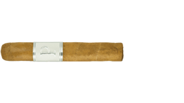 EDITION P Robusto 20