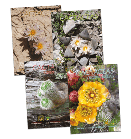 Cactáceas y suculentas mexicanas Vol. 59 (2014)