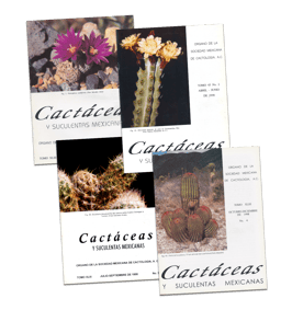 Cactáceas y suculentas mexicanas Vol. 43 (1998)