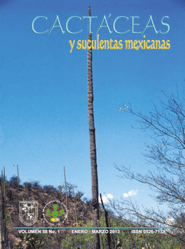 Cactáceas y suculentas mexicanas 58(1)