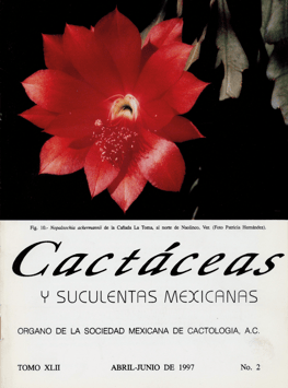Cactáceas y suculentas mexicanas 42(2)