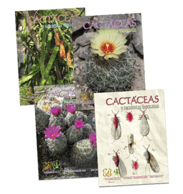 Cactáceas y suculentas mexicanas Vol. 65 (2020)