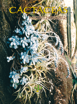 Cactáceas y suculentas mexicanas 49(3)