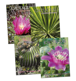 Cactáceas y suculentas mexicanas Vol. 63 (2018)