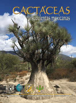 Cactáceas y suculentas mexicanas 66(3)