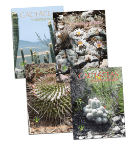 Cactáceas y suculentas mexicanas Vol. 55 (2010)