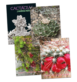 Cactáceas y suculentas mexicanas Vol. 53 (2008)
