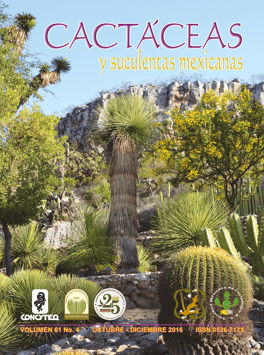 Cactáceas y suculentas mexicanas 61(4)