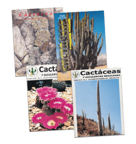 Cactáceas y suculentas mexicanas Vol. 44 (1999)