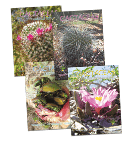 Cactáceas y suculentas mexicanas Vol. 57 (2012)