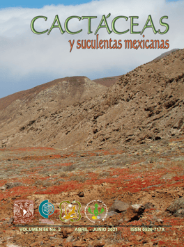 Cactáceas y suculentas mexicanas 66(2)