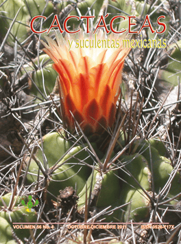Cactáceas y suculentas mexicanas 56(4)