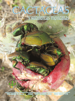 Cactáceas y suculentas mexicanas 57(3)