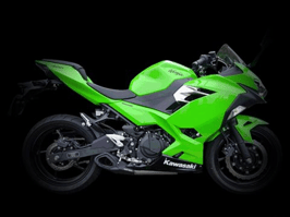 FIRETONG NINJA 400 18-19 WILLY MADE FULL-SYSTEM