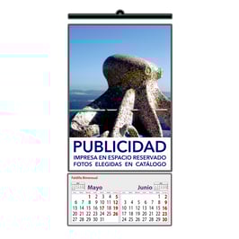 Lámina Pequeña Faldilla 23,5 Bimensual