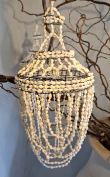 Schelpenhanger Bagus