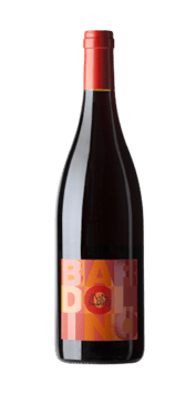 Bardolino DOC 2021 - Le Vigne di San Pietro