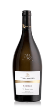 Letizia Marche Passerina IGT 2024 - Terra Fageto