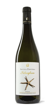 Falanghina Puglia IGT 2022 - Antica Enotria