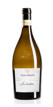 Salsedine Offida Pecorino DOCG 2022 - Terra Fageto