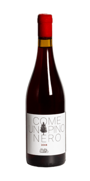 Come un Pino Nero IGT Veneto 2019 - Le Vigne di San Pietro