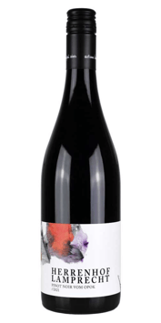 Pinot Noir vom Opok 2021 - Weingut Herrenhof Lamprecht