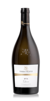 Eva Faleria DOC 2024 - Terra Fageto