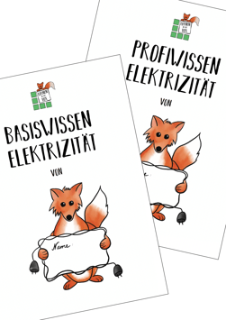 Kombipaket Basiswissen und Profiwissen Elektrizität (digital)