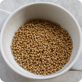 Senfkörner goldgelb