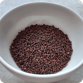 Senfkörner schwarz braun