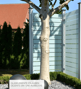 Sichtblende Glasscheiben