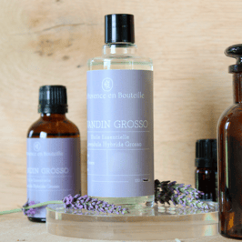 Huile Essentielle de Lavandin Grosso bio
