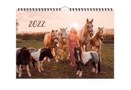 Anita Girlietainment WANDKALENDER 2022 NEU! Limited Edition