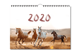 Anita Girlietainment Wandkalender 2020 LIMITED EDITION