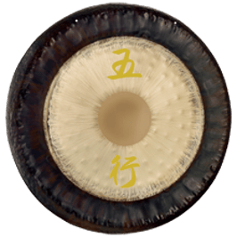 Wu Xing Gong