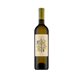 Grillo Acacia 2022, Cantine Colosi