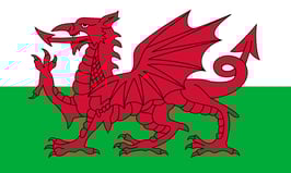 Wales Flag / Y Ddraig Goch (Nylon 3'x5')
