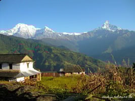 ダンプスからの眺め