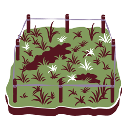 所有者不明土地の整理のイメージイラスト