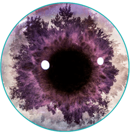 Iris de ojo con copa de arboles en trasparencia