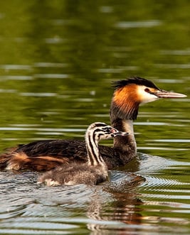 Foto: Christian Klar