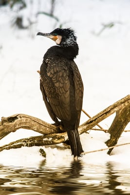 Foto: Christian Klar