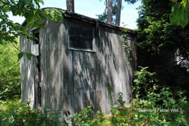 803-108 Sammlung Fabian Wild