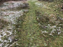 Foto: Nur Wege mähen